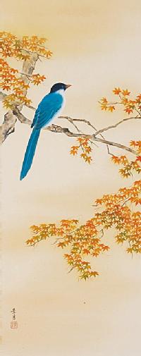 Hand Painetd Hanging Scroll/ Maple leaves and Blue-and-white flycatcher, Traditional Japanese painting Original Painting by Keigetsu Sato,