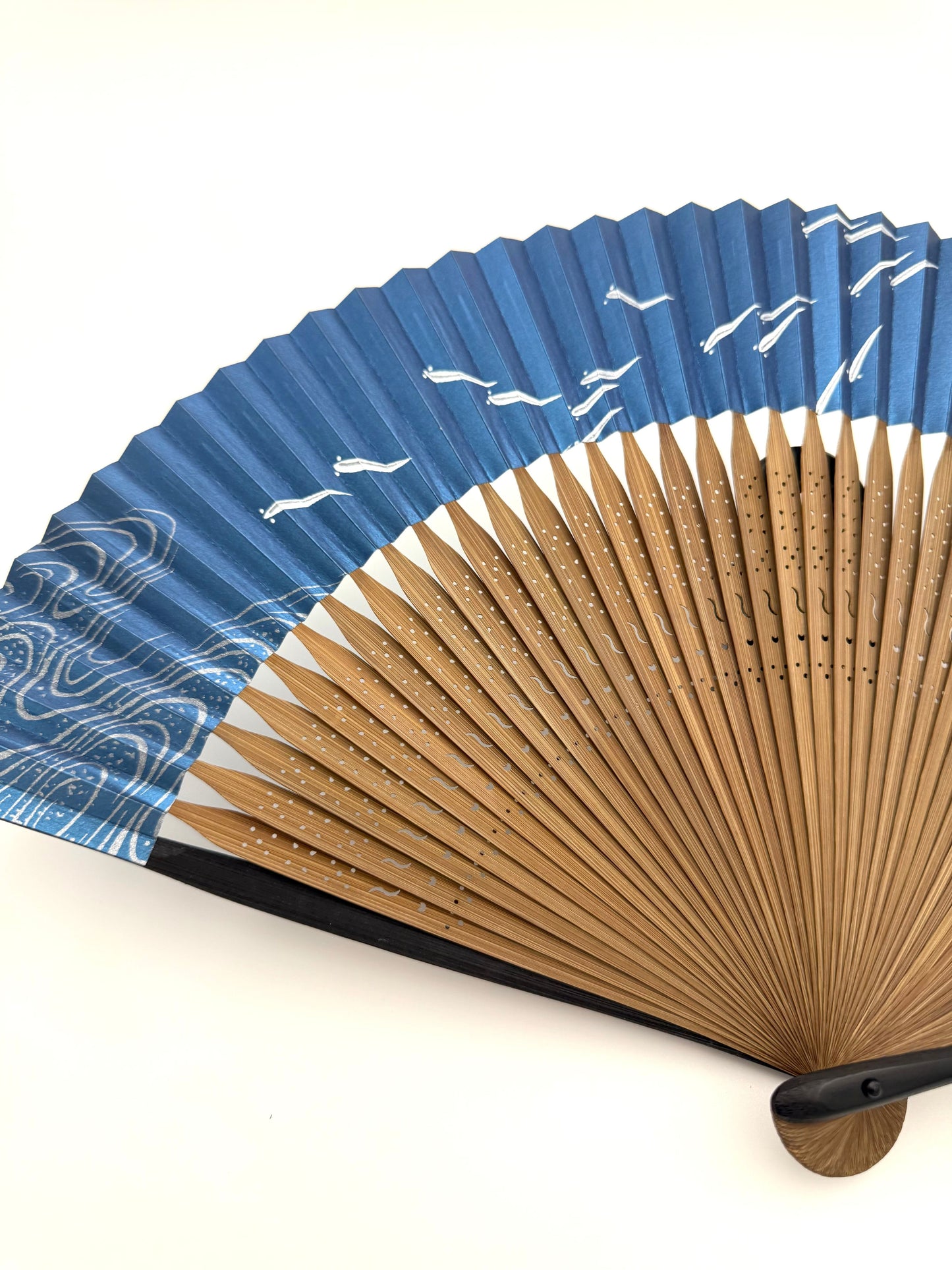 Ōmi Folding Fan- Medaka (Japanese rice fish) Men's
