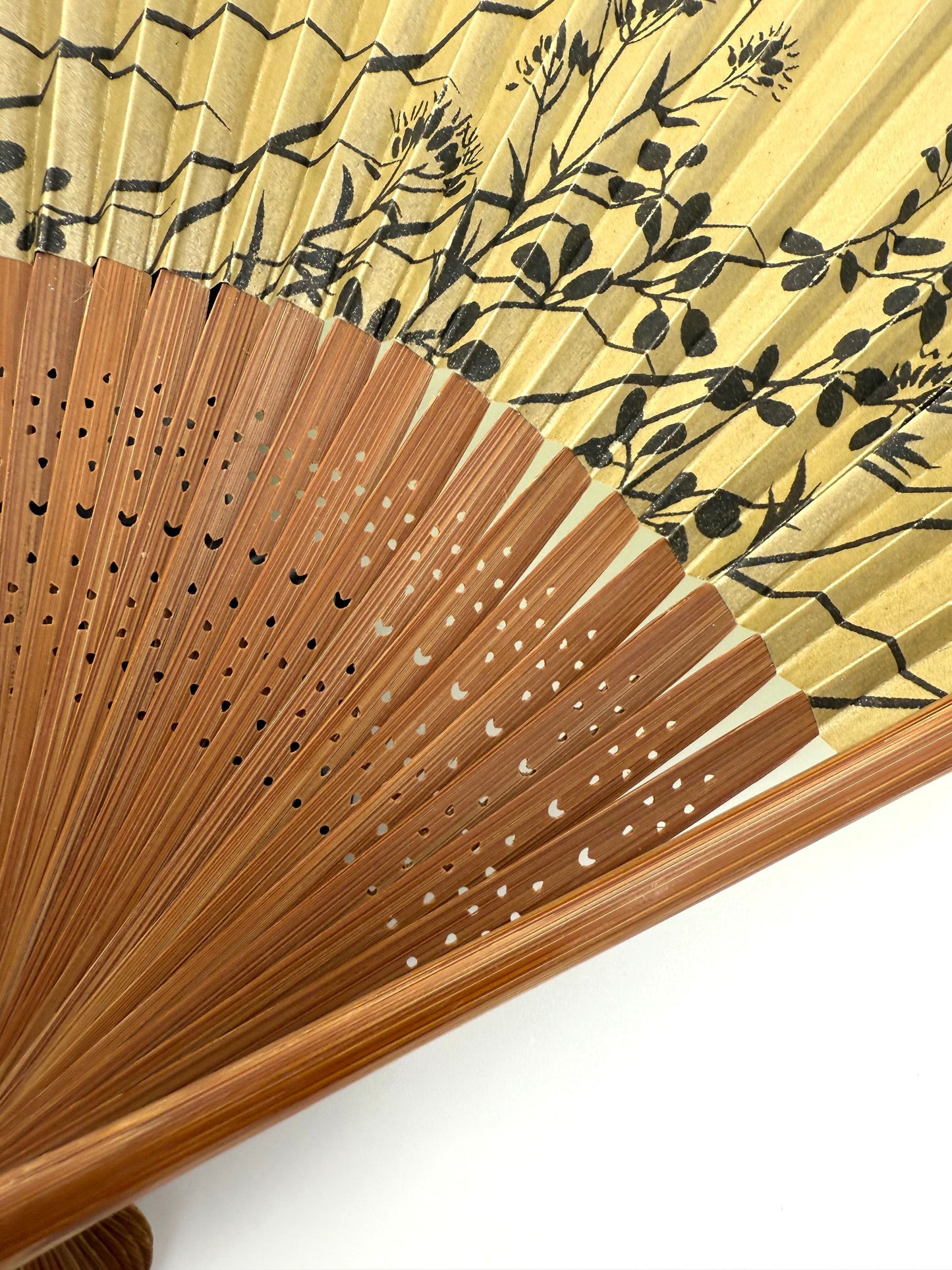Ōmi Folding Fan-Dragonfly and Gourd