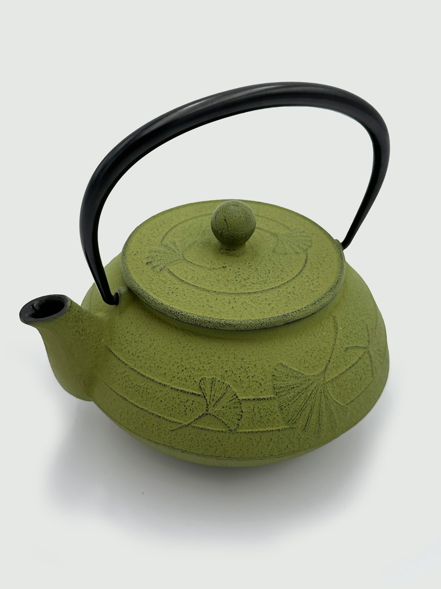 Nanbu Ironware Grass Colored Teapot