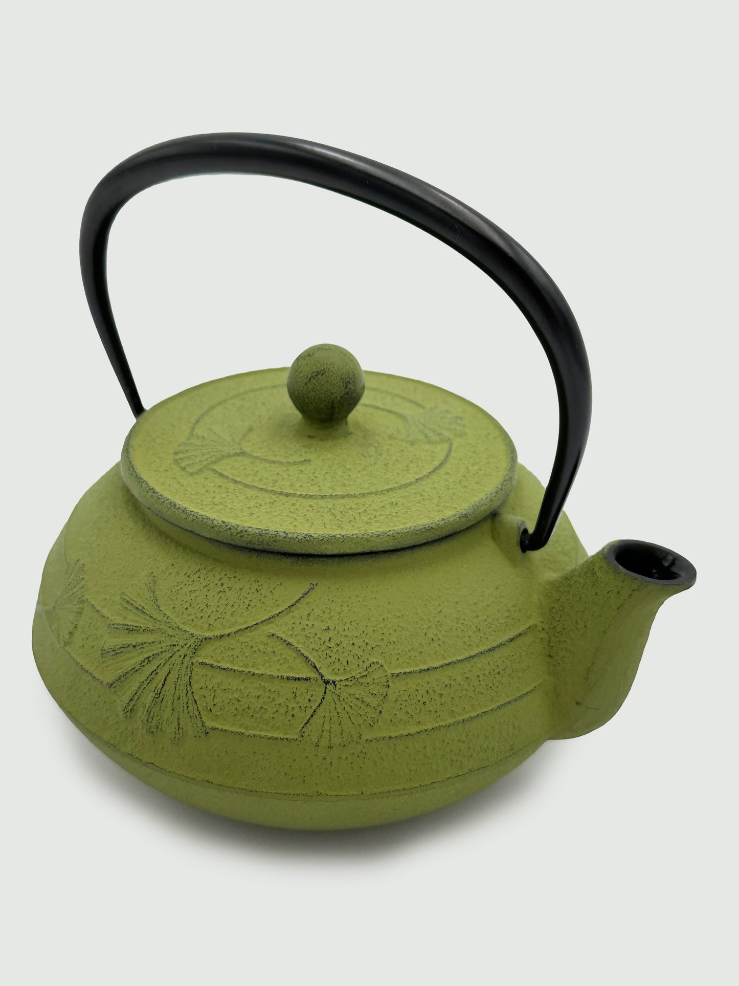 Nanbu Ironware Grass Colored Teapot