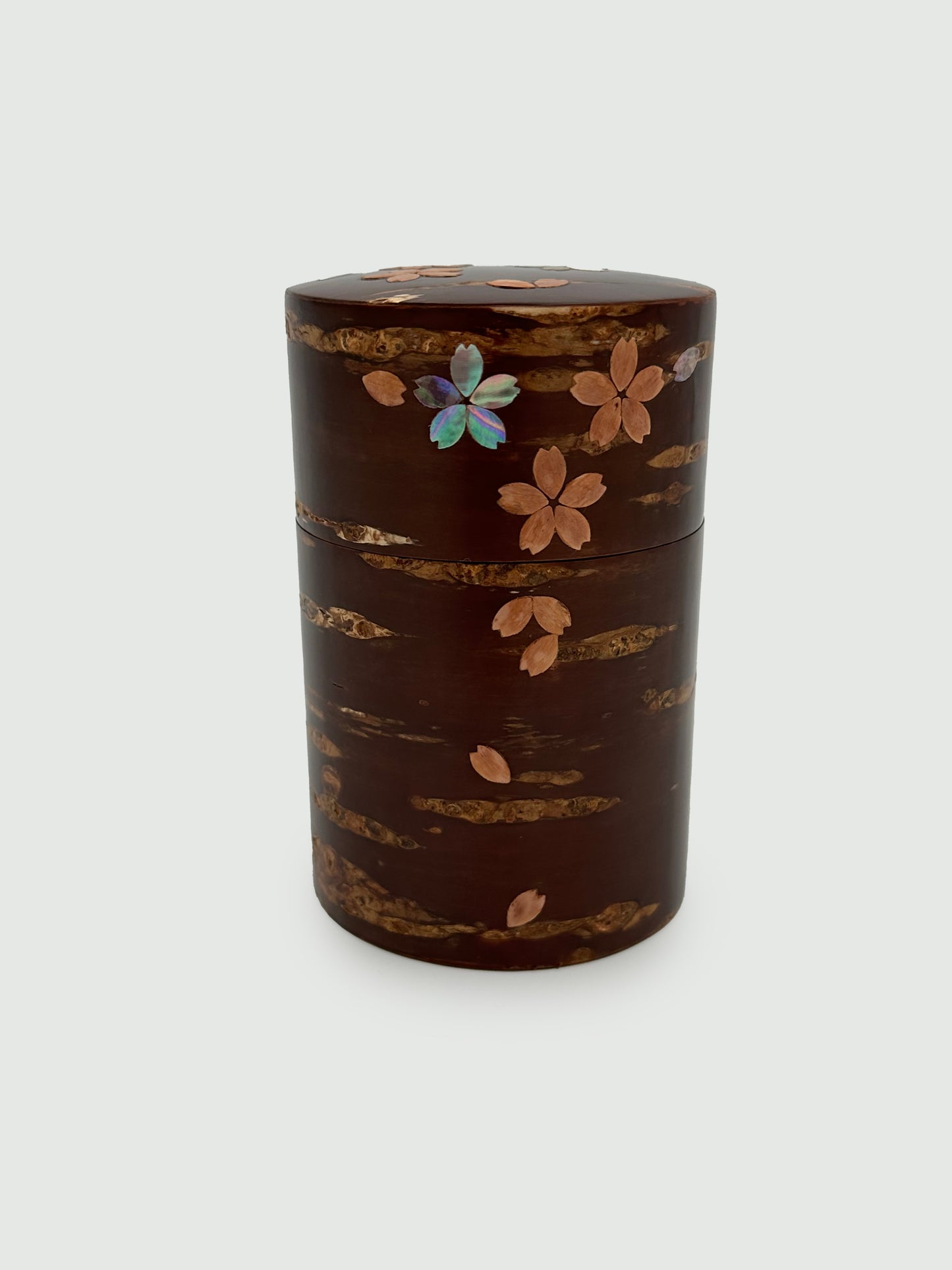 Cherrybark Craftwork Tea Caddy